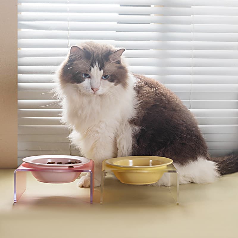 ペット食器 傾斜台付き陶器食器 猫の首に優しい高さ調整食器台