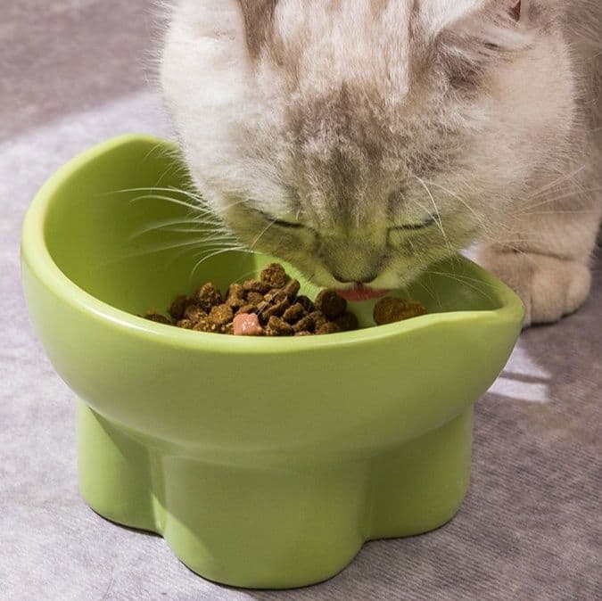 ペット食器 傾斜台座付き高温焼成陶器ペット食器