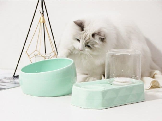 ペット食器 傾斜型陶器ペット食器 超大口径ボウル