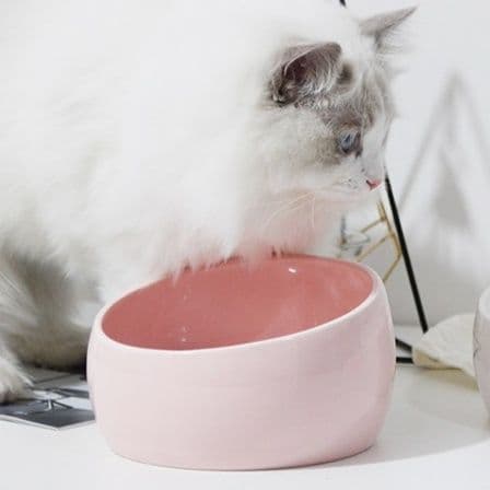 ペット食器 傾斜型陶器ペット食器 超大口径ボウル