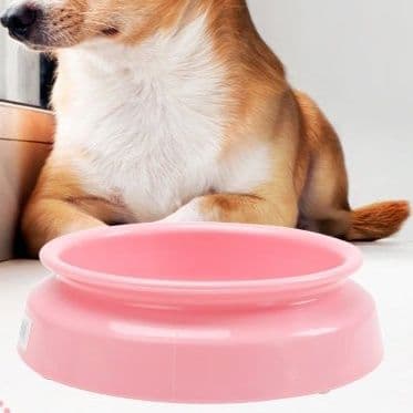 ペット食器 小型犬用浅型フードボウル安定設計食器