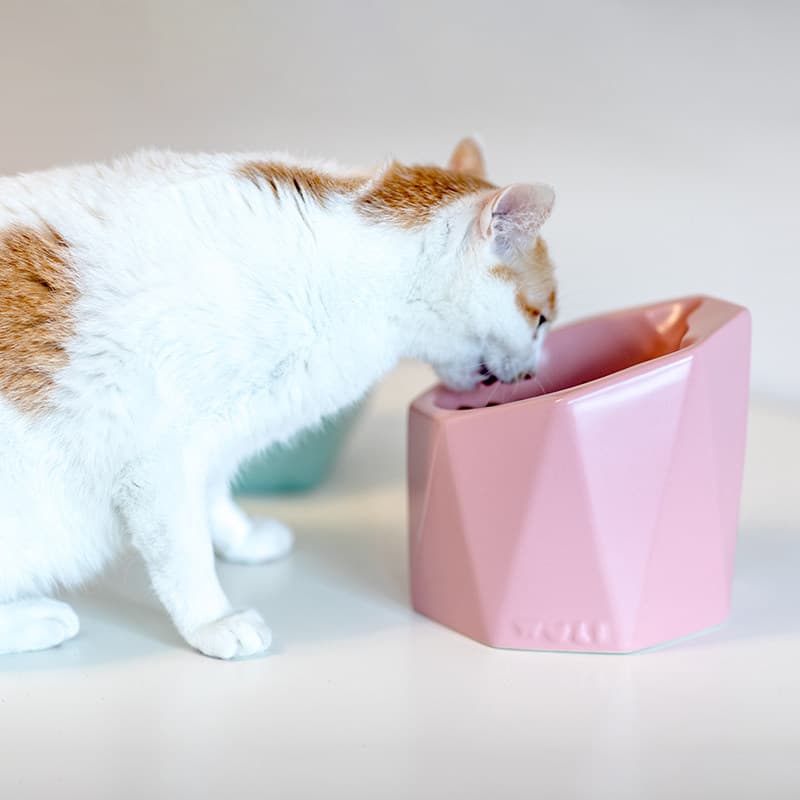 ペット食器 猫用首楽傾斜角度つきペット食器
