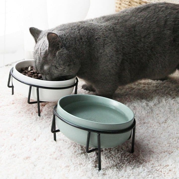 ペット食器 猫の首と背骨を守る高さ調整スタンド付き陶器食器