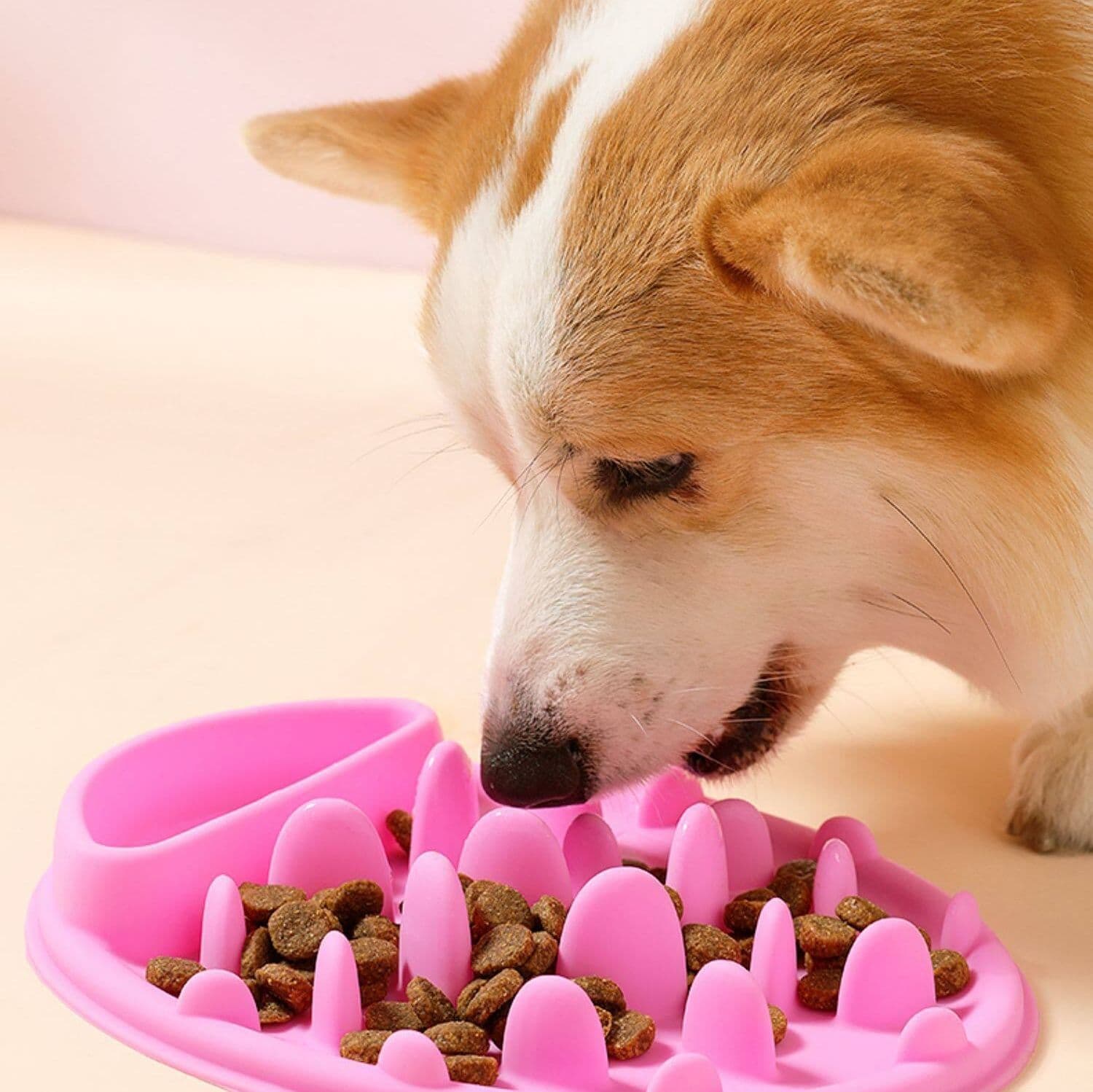 ペット食器 ゆっくり食べさせる早食い防止食器