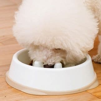 ペット食器 愛犬健康サポート突起付きゆっくり食べる食器
