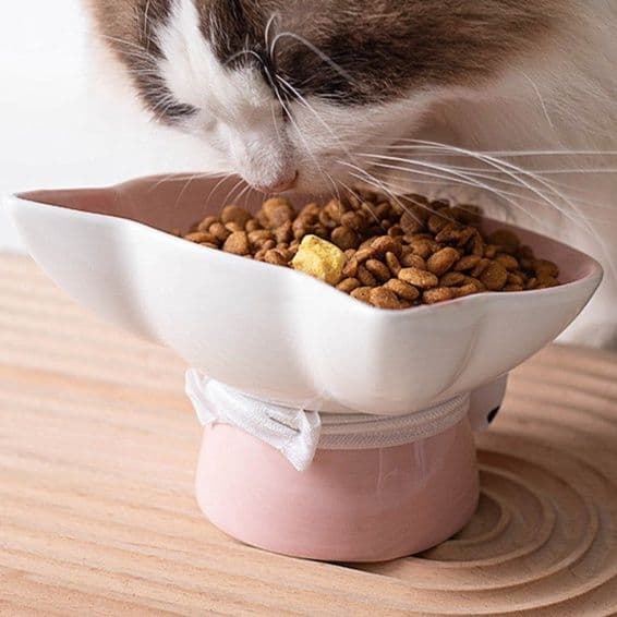 ペット食器 猫耳型高台式陶器首保護ペット食器